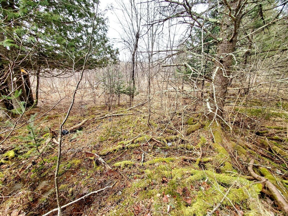 0 Moody Mills Road Corinna ME 04928