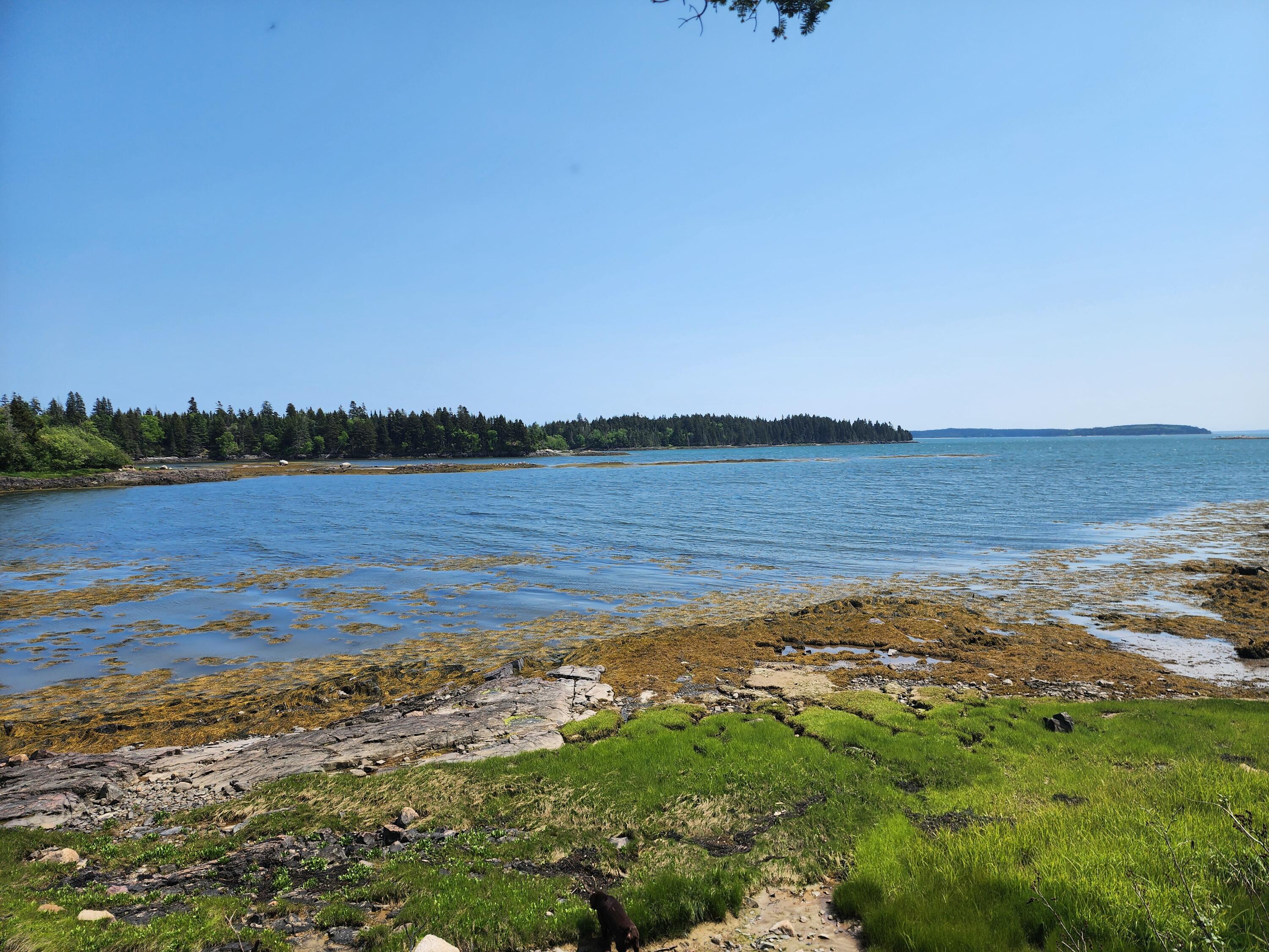 L 25 Chambers Point Road Roque Bluffs ME 04654