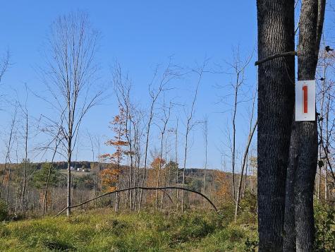 R11-033 Bailey Hill Road Farmington ME 04938