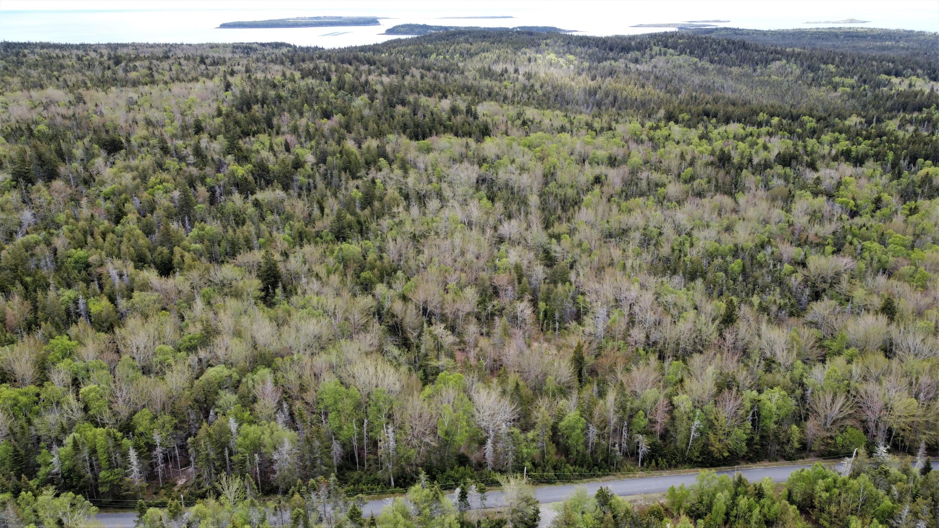 84 Yoho Head Road Machiasport, ME