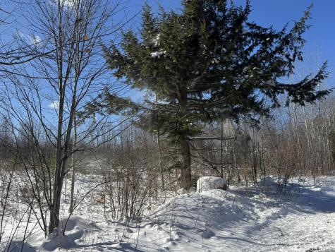 Lot 29-3 Seaward Mills Road Vassalboro ME 04989