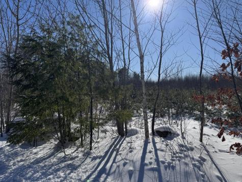 Lot 29-3 Seaward Mills Road Vassalboro ME 04989