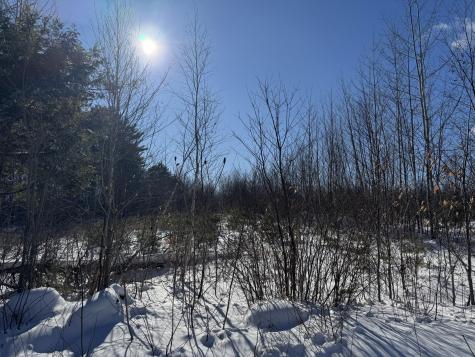 Lot 29-3 Seaward Mills Road Vassalboro ME 04989