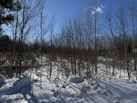 Lot 29-3 Seaward Mills Road Vassalboro ME 04989