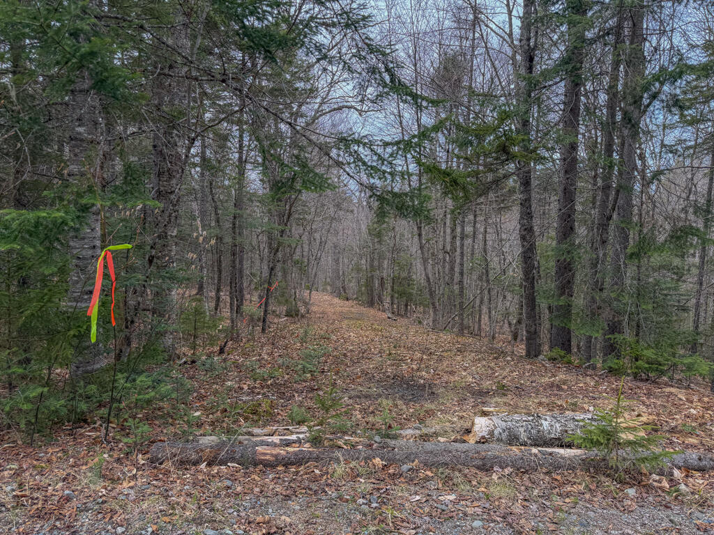 3 Beaver Bottom Road Greenville ME 04441