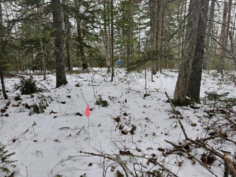 28 Evergreen Point Road Sullivan ME 04664