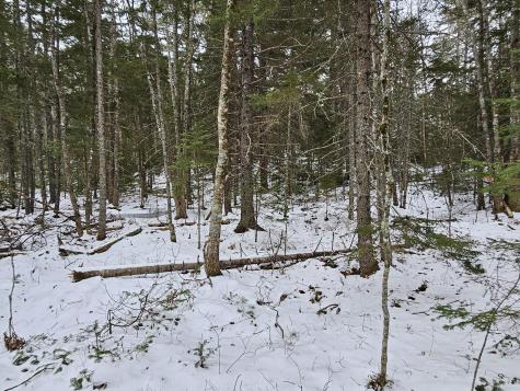 28 Evergreen Point Road Sullivan ME 04664