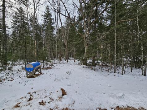 28 Evergreen Point Road Sullivan ME 04664