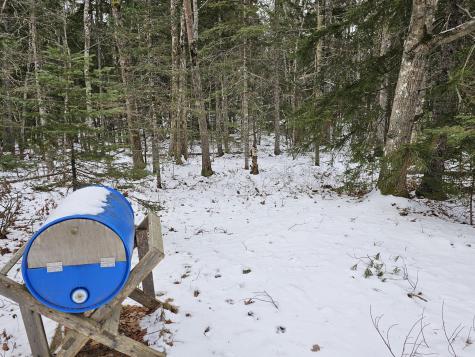 28 Evergreen Point Road Sullivan ME 04664