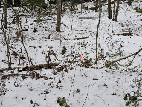 28 Evergreen Point Road Sullivan ME 04664