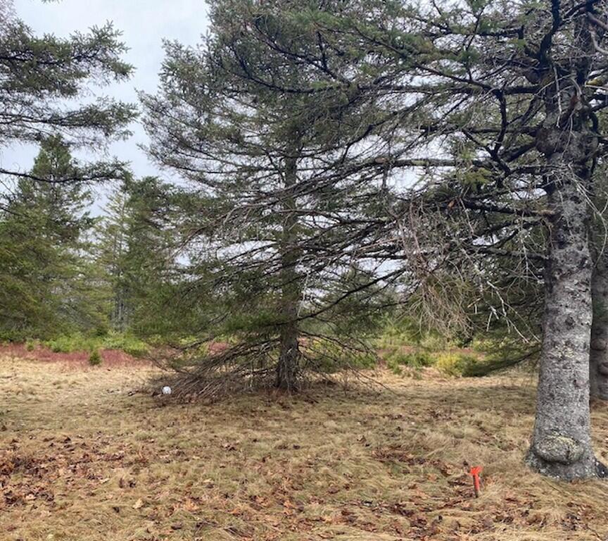 Lot 5 Copeland Hill Road Holden ME 04429