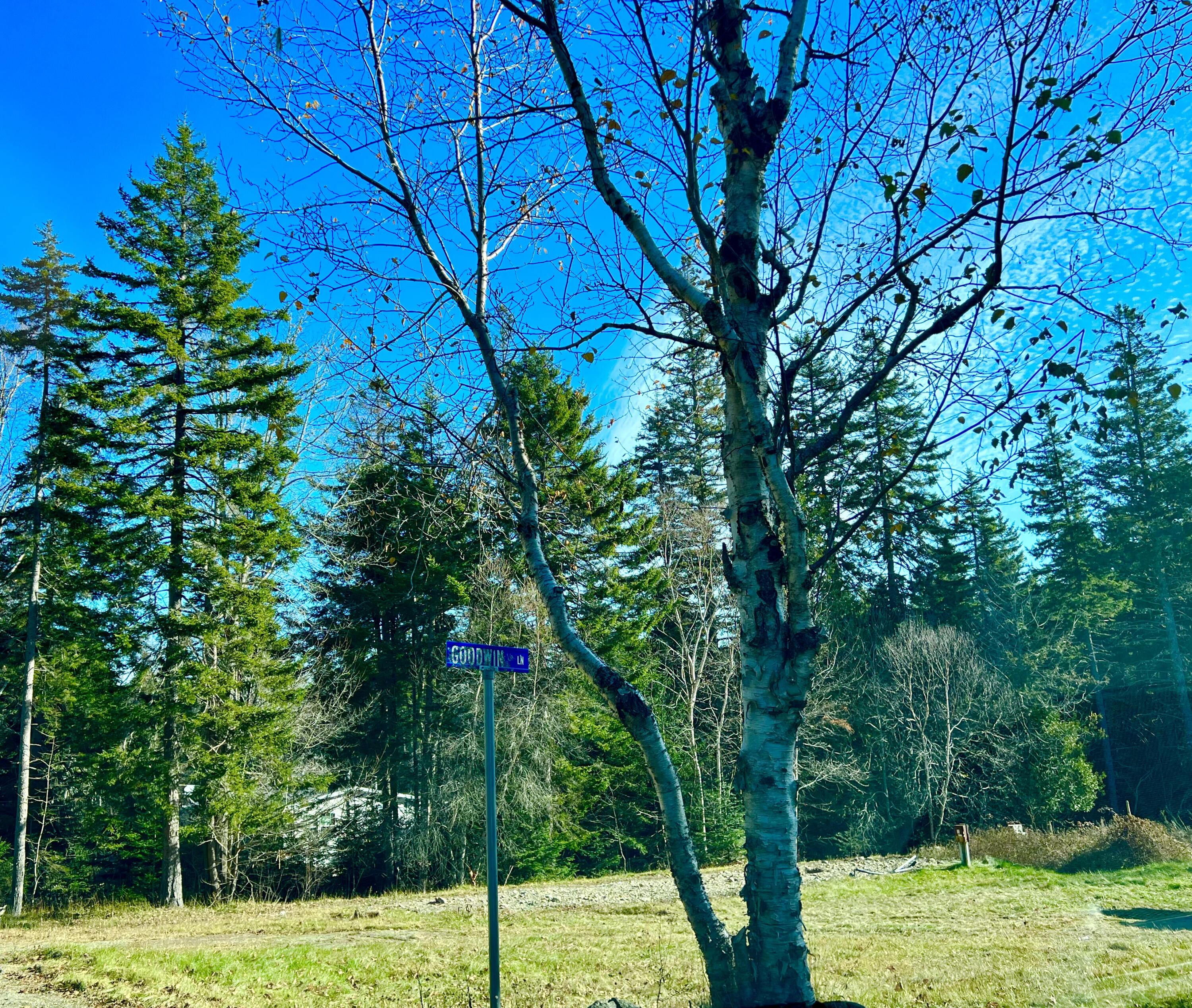 56 Dodge Point Road Tremont ME 04674