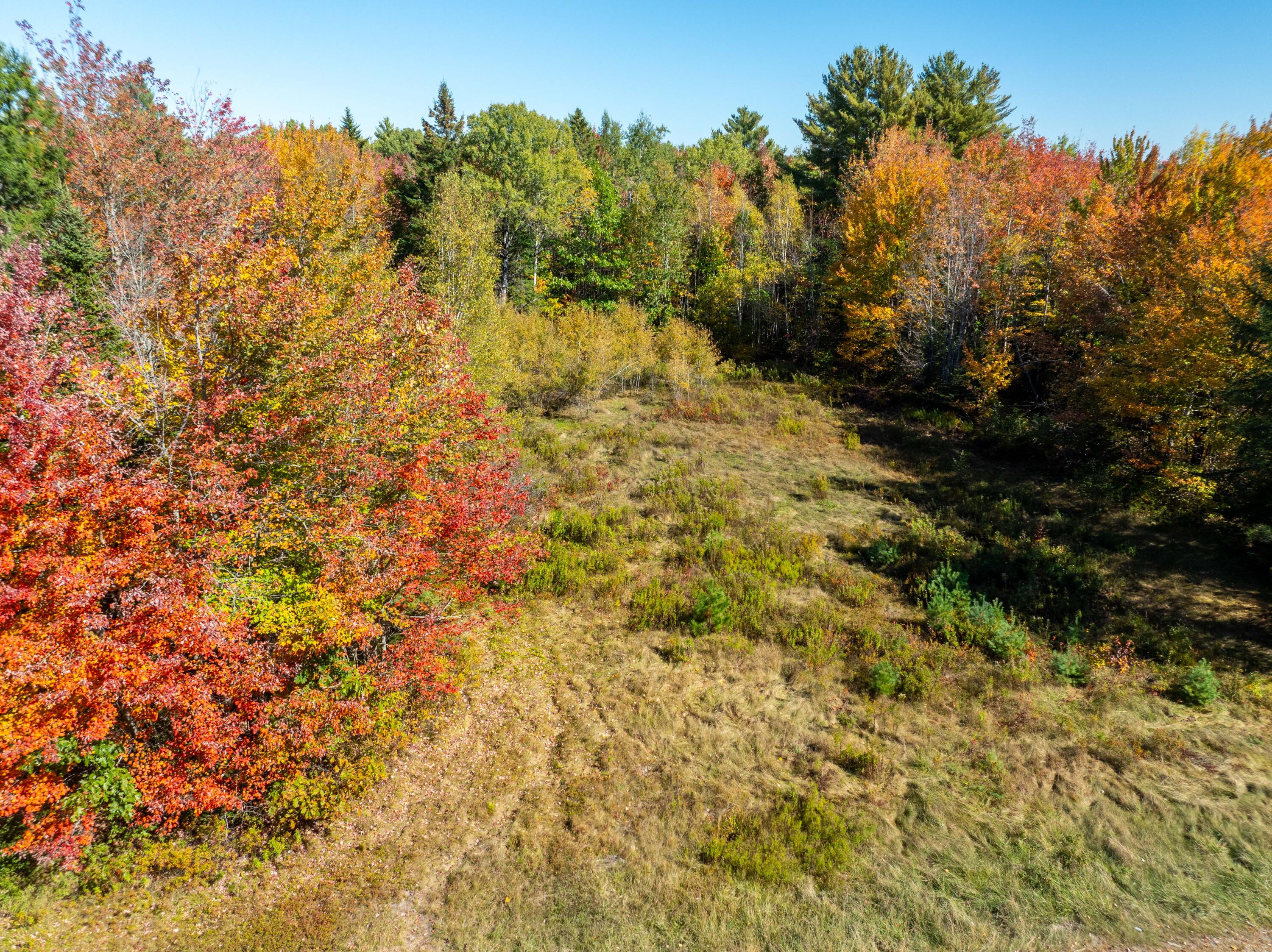 Tbd 22acre Us Rt One Waite ME 04492