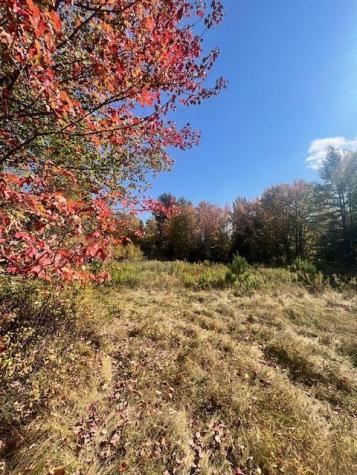 Tbd 22acre Us Route One Waite ME 04492