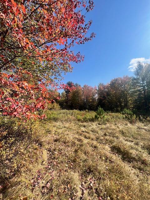 Tbd 22acre Us Rt One Waite ME 04492