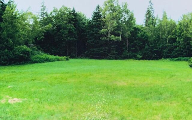 Tbd 22acre Us Rt One Waite ME 04492