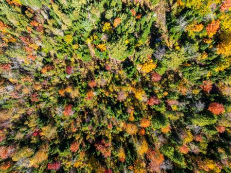 Tbd 22acre Us Route One Waite ME 04492