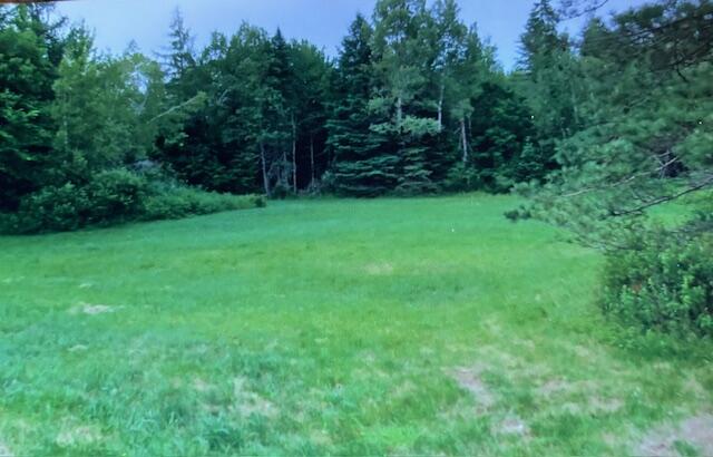 Tbd 22acre Us Rt One Waite ME 04492