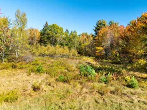 Tbd 22acre Us Route One Waite ME 04492