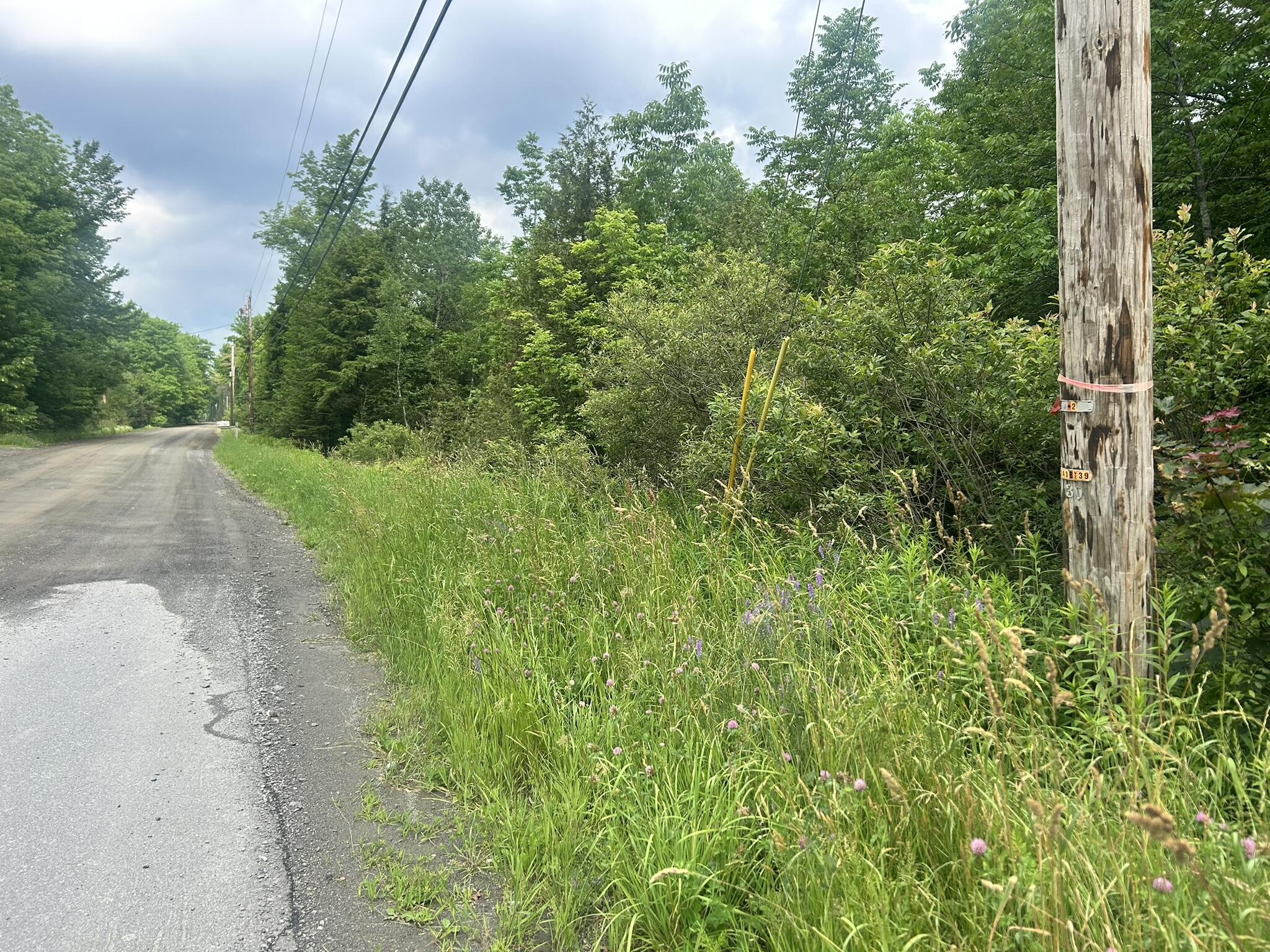 M11 L38 Essex Street Dover-foxcroft ME 04426