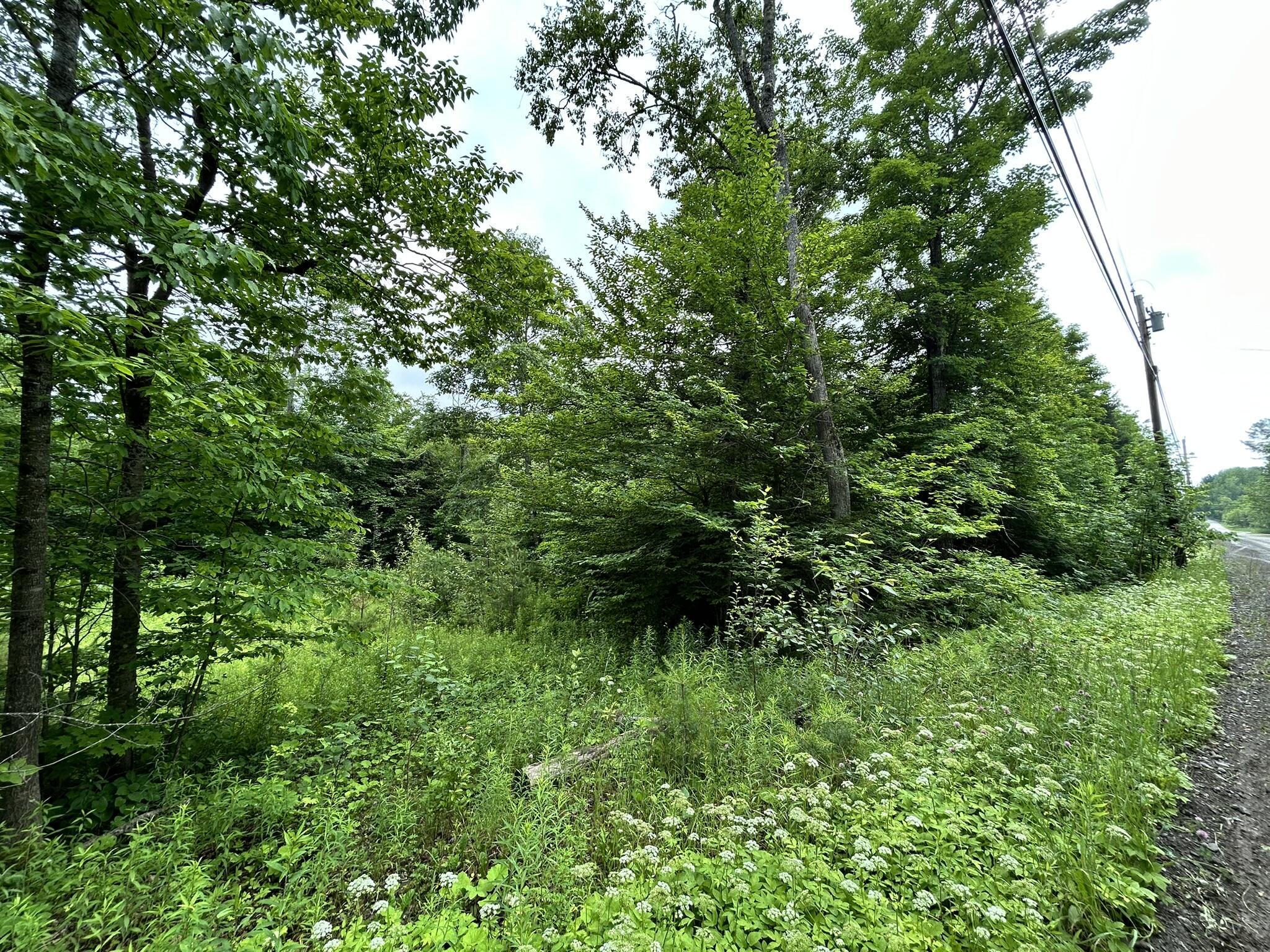 M11 L38 Essex Street Dover-foxcroft ME 04426