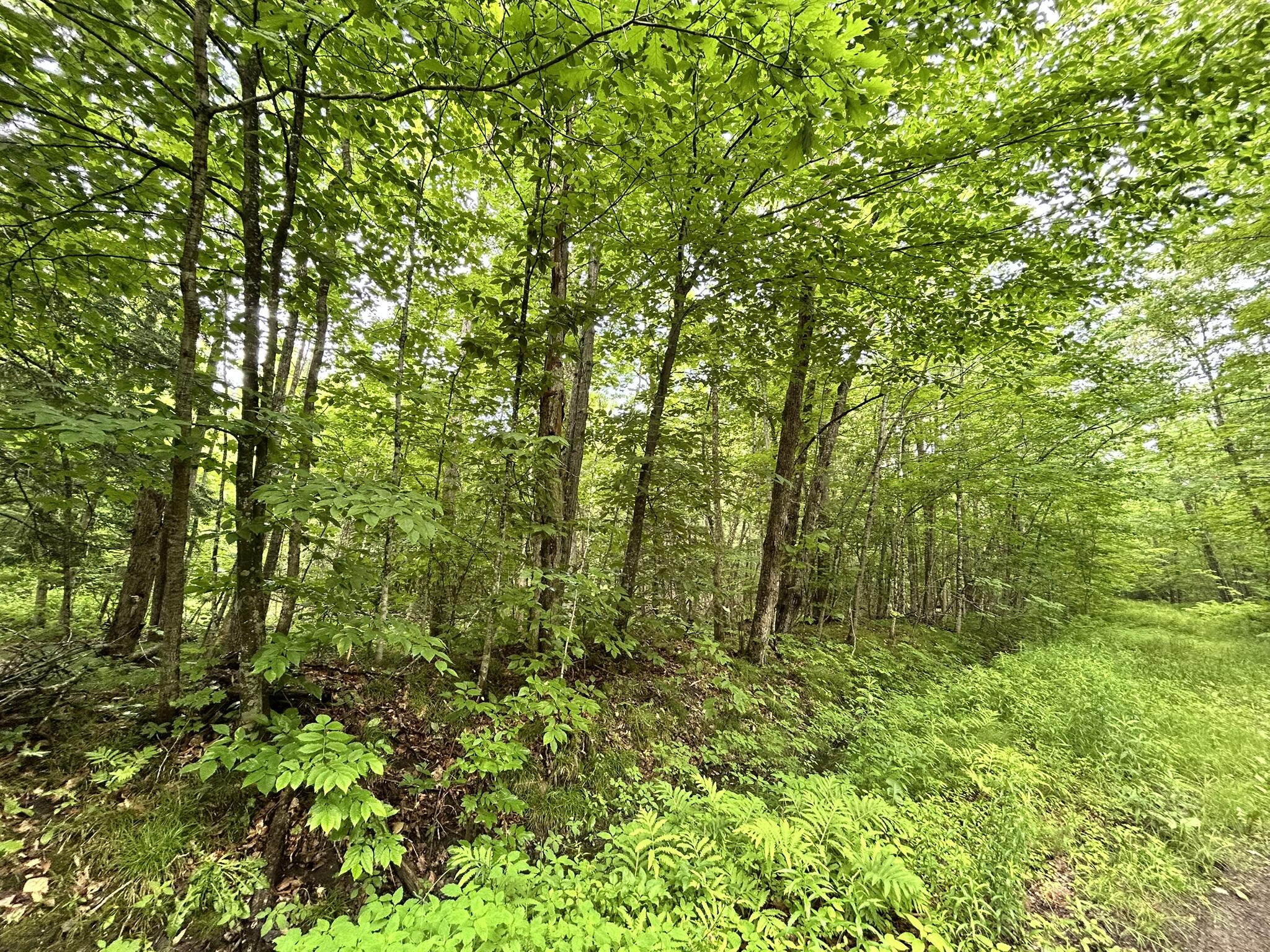 M11 L38 Essex Street Dover-foxcroft ME 04426