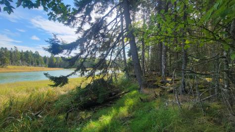 Lot 1 & 5 Evergreen Point Road Jonesboro ME 04648