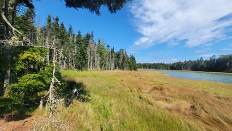 Lot 1 & 5 Evergreen Point Road Jonesboro ME 04648