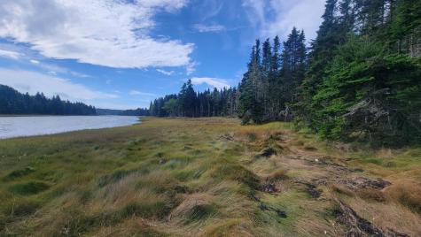 Lot 1 & 5 Evergreen Point Road Jonesboro ME 04648