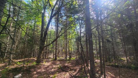 Lot 1 & 5 Evergreen Point Road Jonesboro ME 04648