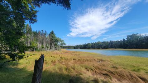 Lot 1 & 5 Evergreen Point Road Jonesboro ME 04648