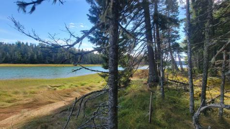 Lot 1 & 5 Evergreen Point Road Jonesboro ME 04648