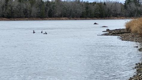 Lot 1c Medway Road Route 157 Road Mattawamkeag ME 04459