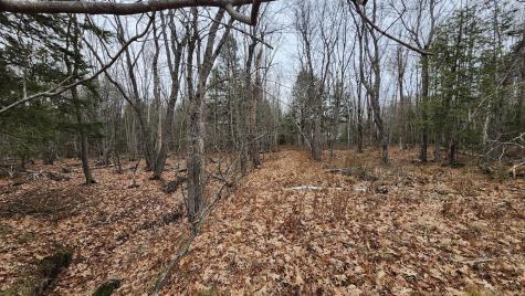 Lot 1c Medway Road Route 157 Road Mattawamkeag ME 04459