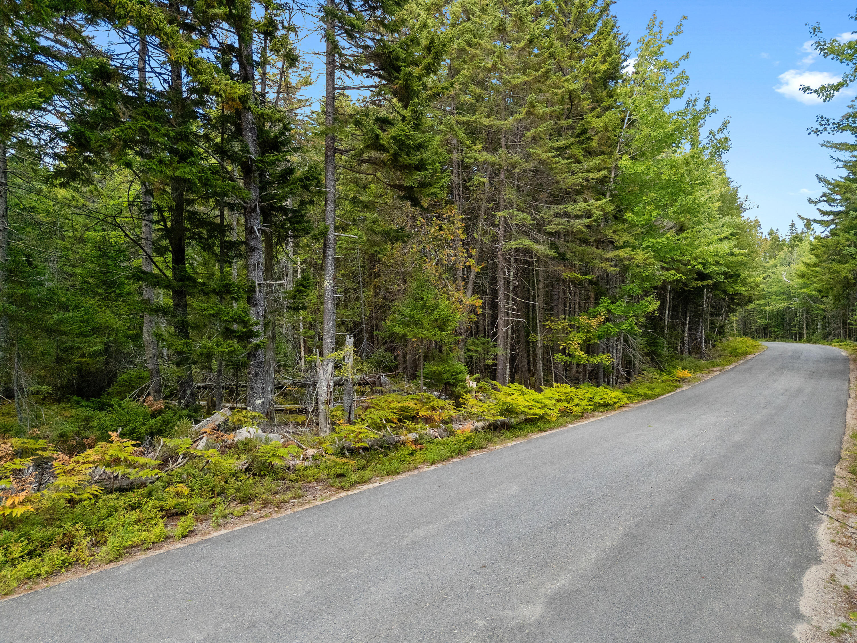 Lot 1 Peninsula Road Gouldsboro ME 04607