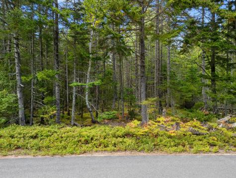Lot 1 Peninsula Road Gouldsboro ME 04607