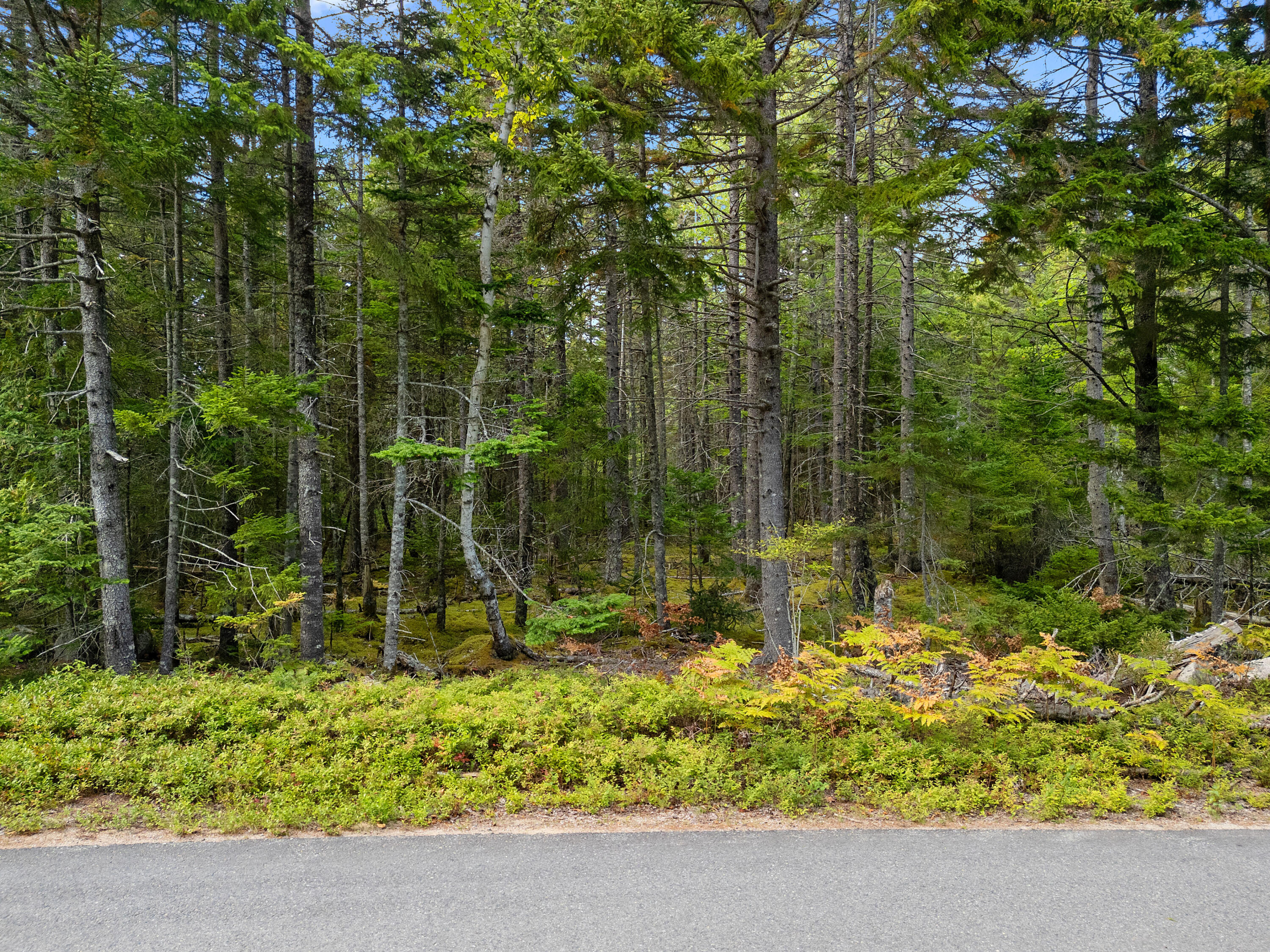 Lot 1 Peninsula Road Gouldsboro ME 04607