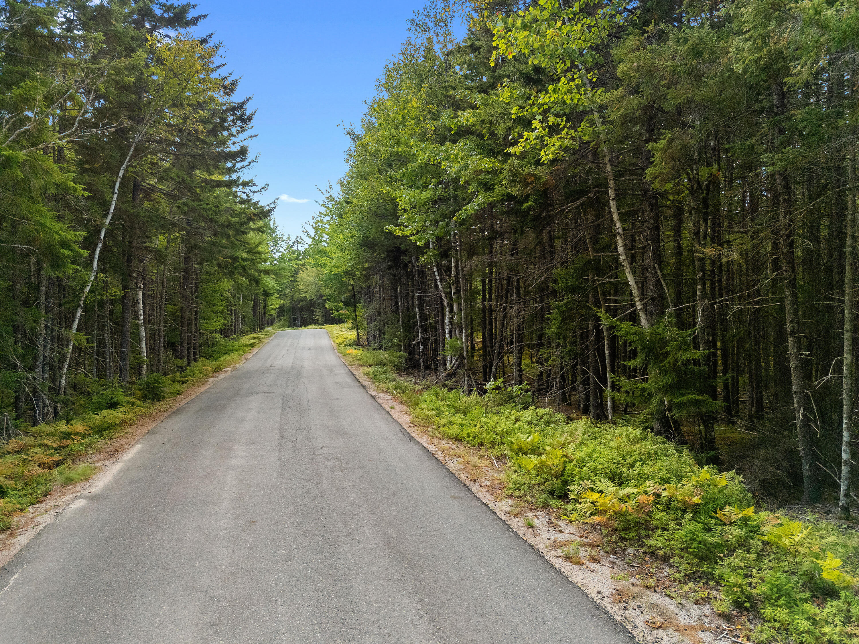 Lot 1 Peninsula Road Gouldsboro ME 04607