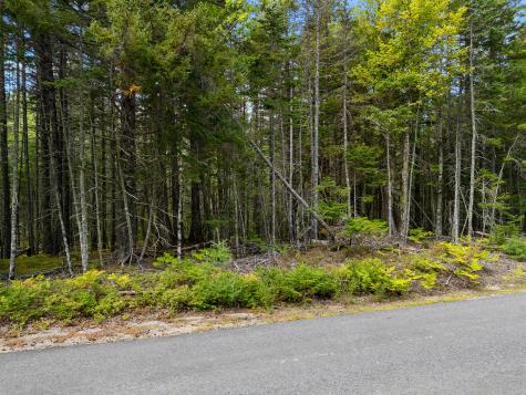 Lot 1 Peninsula Road Gouldsboro ME 04607