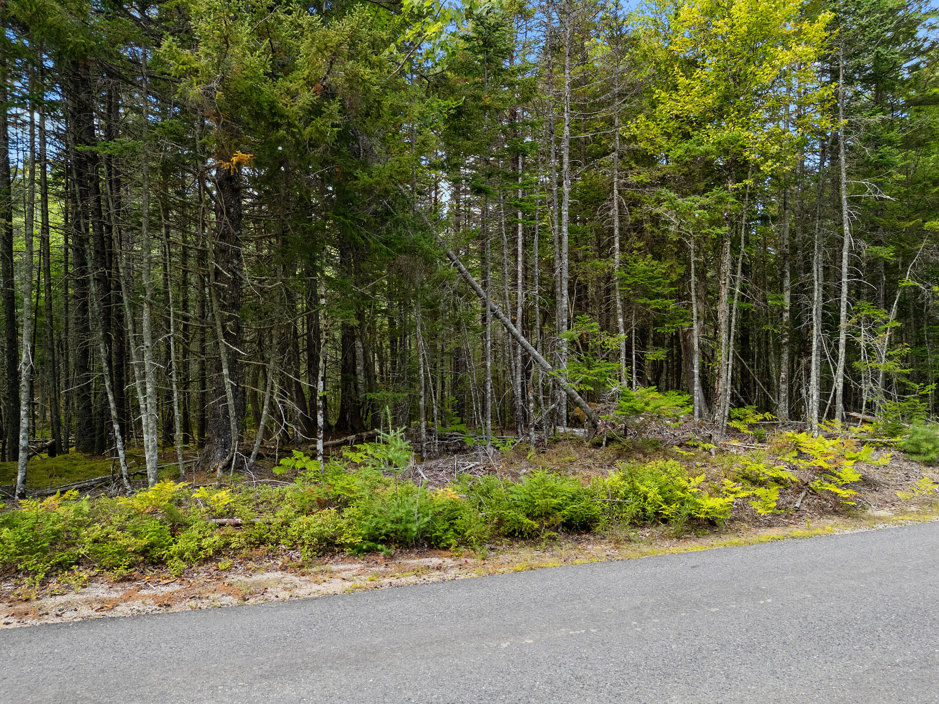 Lot 1 Peninsula Road Gouldsboro ME 04607