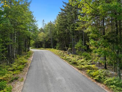 Lot 1 Peninsula Road Gouldsboro ME 04607