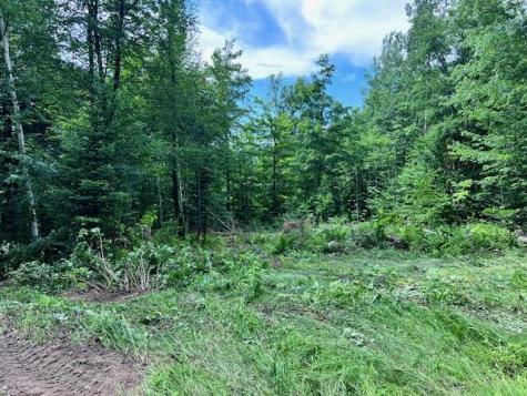 Lot 14d-2 Music Road Farmington ME 04938