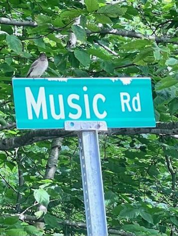 Lot 14d-2 Music Road Farmington ME 04938