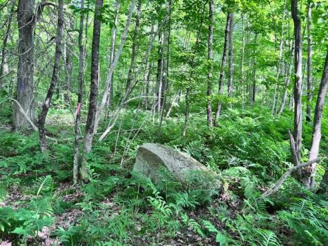 Lot 14d-2 Music Road Farmington ME 04938