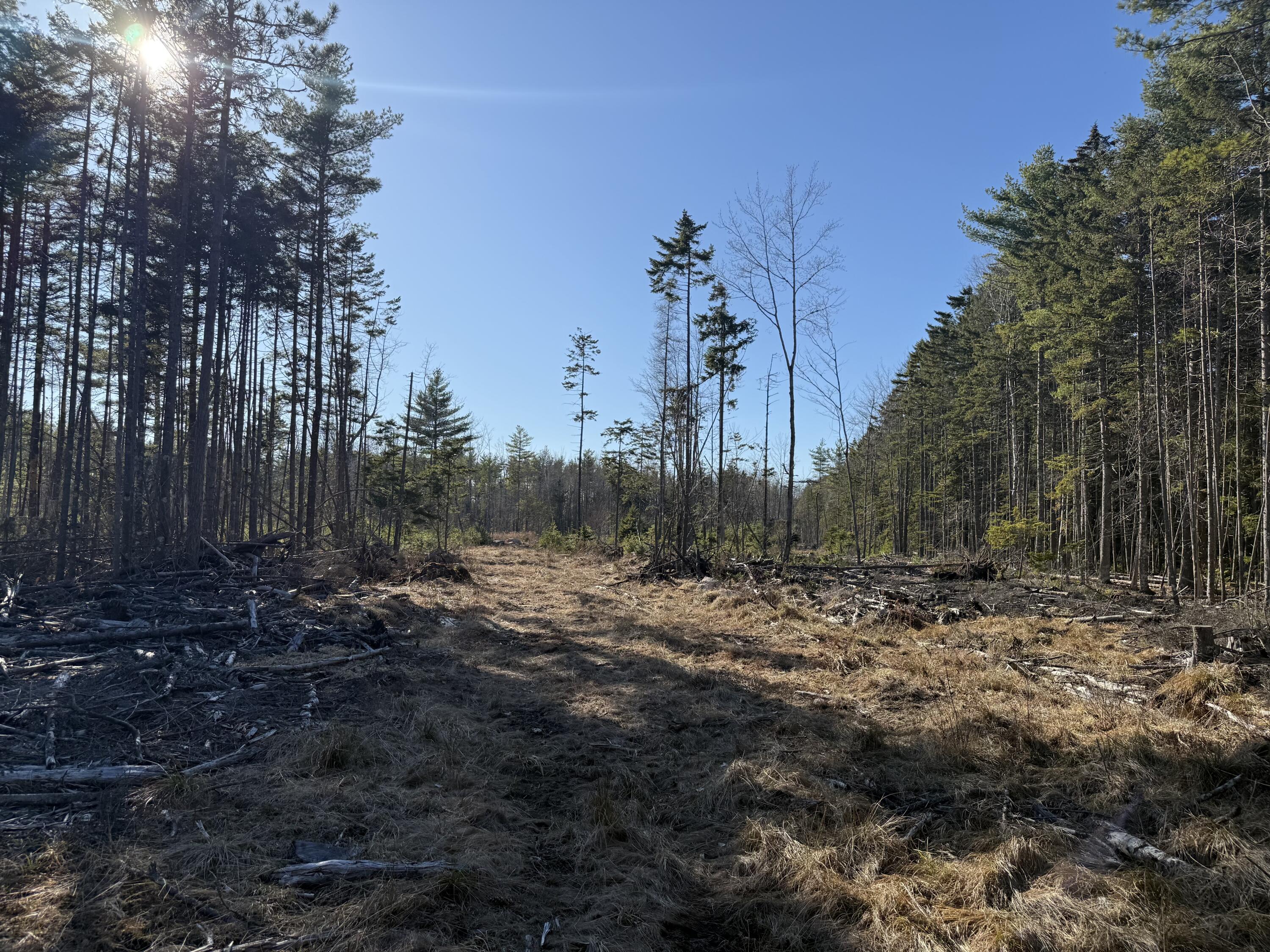 429 Morgan Bay Road Surry ME 04684