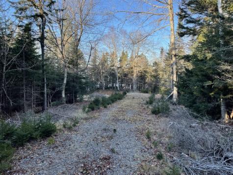 Lot 25-3 Flat Bay Drive Harrington ME 04643