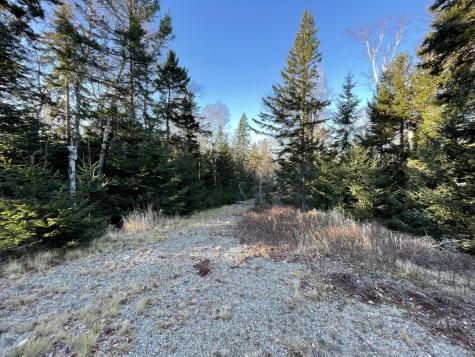 Lot 25-3 Flat Bay Drive Harrington ME 04643