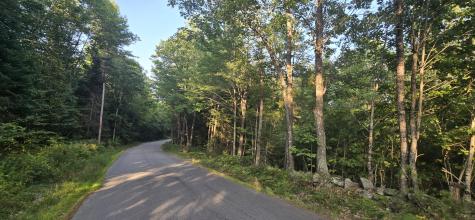 Lot 1 Whitney Road Bridgton ME 04009