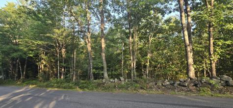 Lot 1 Whitney Road Bridgton ME 04009