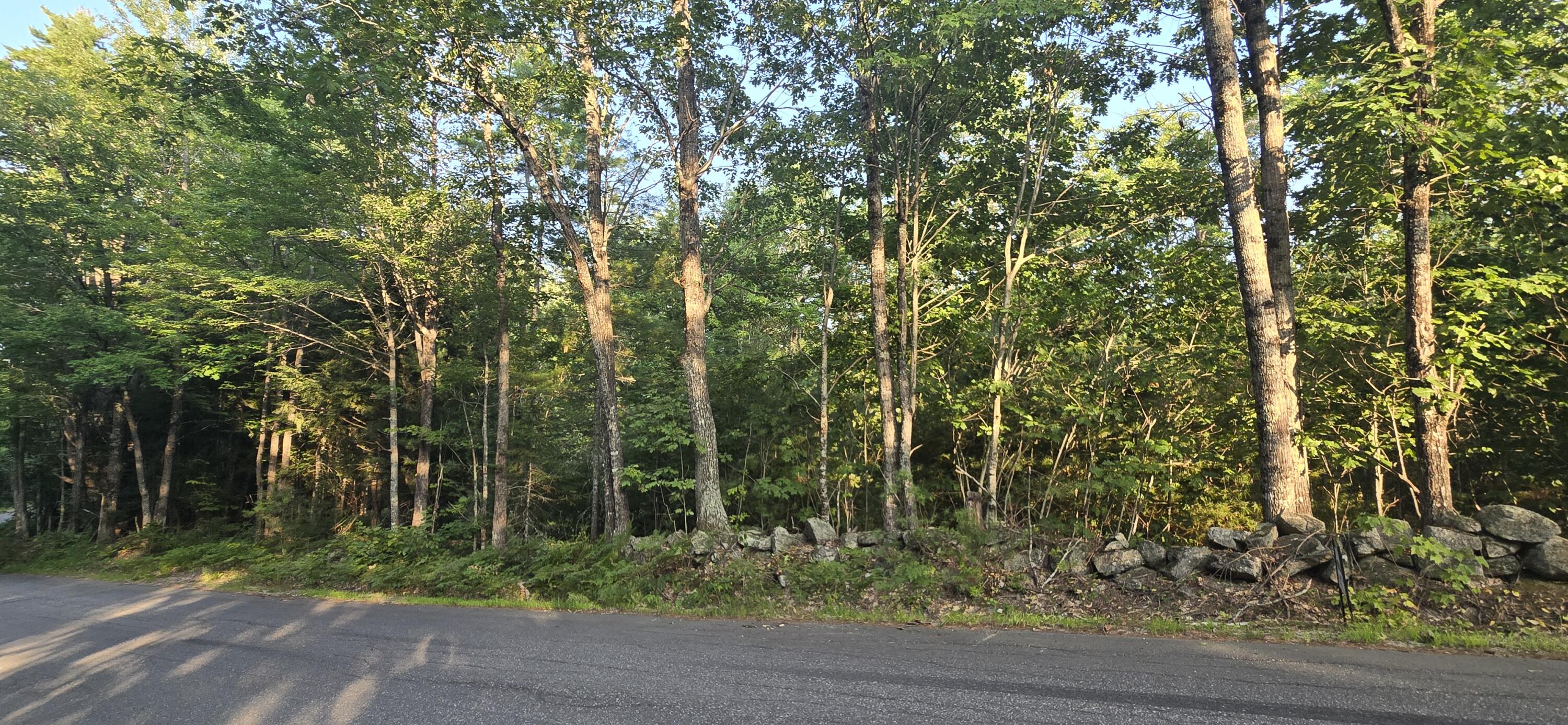 Lot 1 Whitney Road Bridgton ME 04009